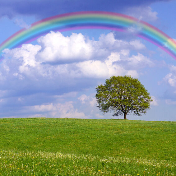regenbogen,landschaft